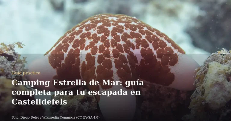 Camping Estrella de Mar: guía completa para tu escapada en Castelldefels