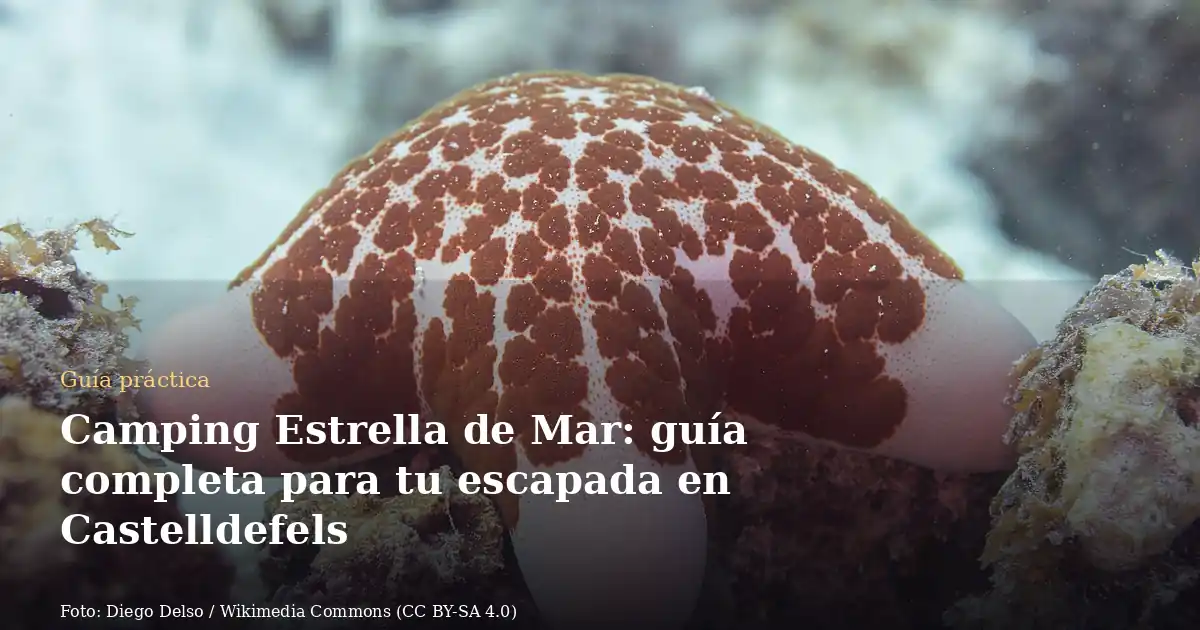 Camping Estrella de Mar: guía completa para tu escapada en Castelldefels
