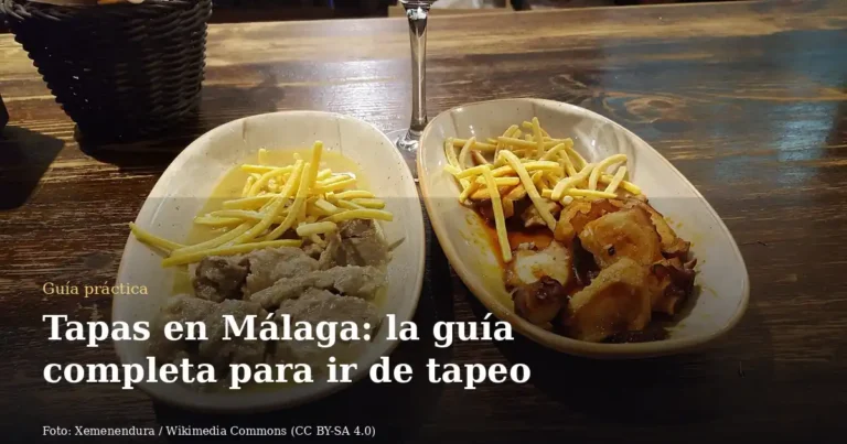 Tapas en Málaga: la guía completa para ir de tapeo